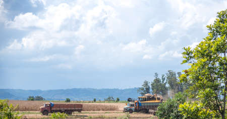 Self-propelled machine harvesting and unloading soybeans. Grain harvest. Crop harvesting technology. Agribusiness in Brazil. Glycine max crop being harvested.の写真素材