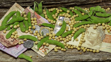 Coins and bank notes and soy beans. Economic representation. Cereal considered commodities in the international marketの写真素材