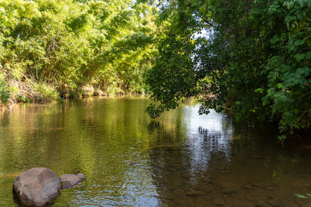 rural and natural landscape where a stream appears and the cilir forest around it. Interior of the...
