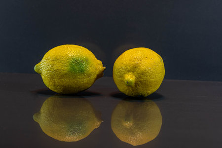 Yellow or Sicilian lemon. Sicilian lemon has an elongated shape and the yellow peel is quite thick. Although known for its good smell, it is not as juicy as other varieties.の写真素材