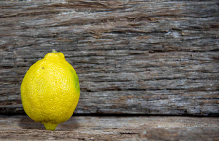 Yellow or Sicilian lemon. Sicilian lemon has an elongated shape and the yellow peel is quite thick. Although known for its good smell, it is not as juicy as other varieties.の写真素材