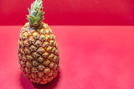 Fresh pineapple fruit. Pineapple on the red background. Exotic fruit rich in fiber. Ingredient for juices. Plant typical of tropical regions.の写真素材