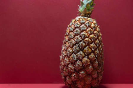 Fresh pineapple fruit. Pineapple on the red background. Exotic fruit rich in fiber. Ingredient for juices. Plant typical of tropical regions.の写真素材