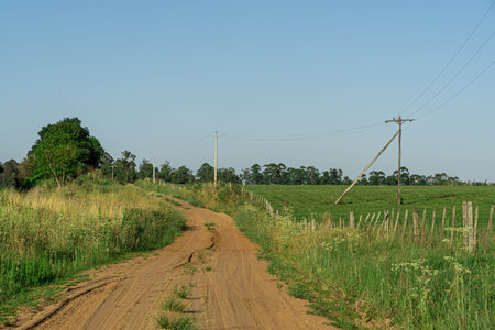 Country road. Rural landscape in the pampa biome. Southern Latin America. Eco tourism. Non-urban area. Fields of the State of Rio Grande do Sul.の写真素材