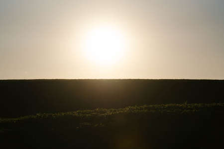 Evening over soybean farm area in Brazil. Rural landscape and sunset. Dramatic sky. Soy plantation in the fields of the State of Rio Grande do Sul. Commodities.の写真素材