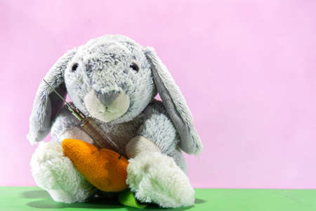 Plush Easter rabbit with a syringe to fight the covid-19. Catholic festival. The Easter rabbit is the one who brings the chocolate eggs and hides them so that the children can look for them.の写真素材