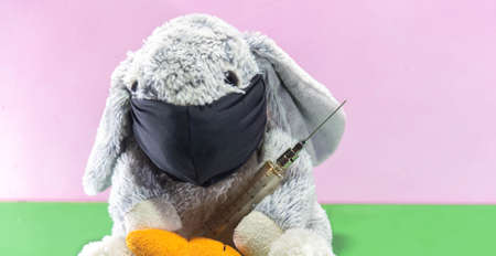 Plush Easter rabbit with a syringe to fight the covid-19. Catholic festival. The Easter rabbit is the one who brings the chocolate eggs and hides them so that the children can look for them.の写真素材