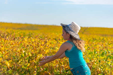 Young woman from Brazil showing a soy plantation. Lifestyle. Brazilian girl dressed in blue in an agricultural production area. farm area. Soy plantation ready for harvest.の写真素材
