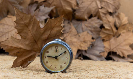 Old analog clock and maple leaves on the crushed wooden background. Vegetable background. Standard....
