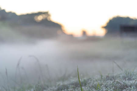 Winter sunrise with ice and fog. Cold and frost formation in Brazil. Nature.の写真素材