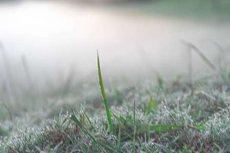 Winter sunrise with ice and fog. Cold and frost formation in Brazil. Nature.の写真素材