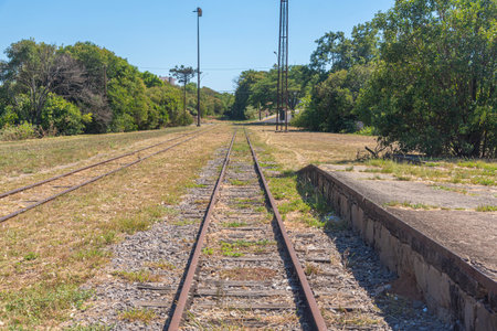Railway tracks in the park. Railway tracks in the park.の写真素材