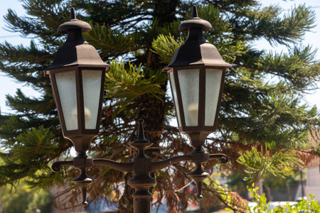 Lanterns in the city park against the background of a coniferous tree