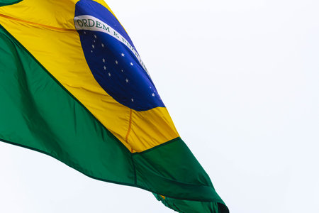 Flag of the federative republic of Brazil. Brazilian official flag. National symbol. Green and...