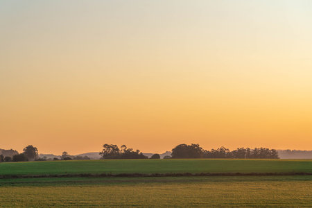 Landscapes of the pampa biome at sunset. Late afternoon in the field. Rural landscapes. Dusk in farm areas. Nature. Twilight colors and lights. Feeling of freedom.の写真素材