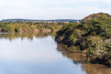 Margins of the Ibicui River in southern Brazil. The IbicuÃ­ River is a Brazilian river located in the state of Rio Grande do Sul. It is a tributary of the Uruguay River.の写真素材