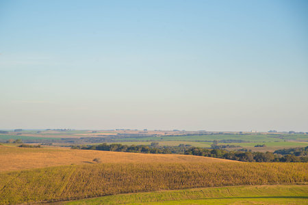 A view of the agricultural fields in the countryside in the summer.の写真素材