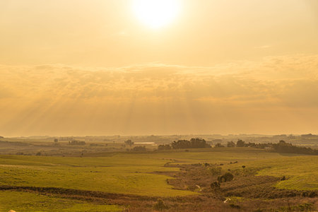 Dawn in the fields of the pampa biome in southern Brazil. Temperate climate biome, with the presence of large fields of grasses, also known as grasses, grasses or grasses.の写真素材