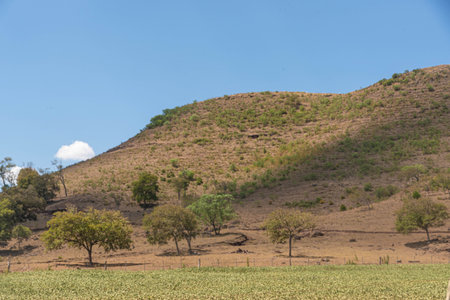 Rural landscape pampa biome in southern Brazil. area of environmental preservation. Rio Grande do Sul RS Brazil. Rural tourism. Grain production fields.の写真素材