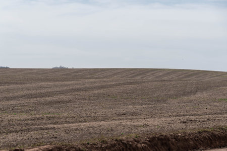 Soybean sowing fields. Crop rotation. grain production area. Farmer. No-till. Food for the world.の写真素材