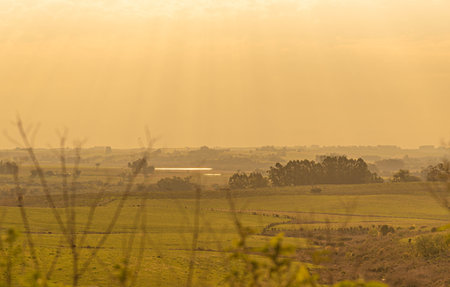 Dawn in the fields of the pampa biome in southern Brazil. Temperate climate biome, with the presence of large fields of grasses, also known as grasses, grasses or grasses.の写真素材