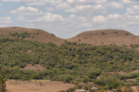 Rural landscape pampa biome in southern Brazil. area of environmental preservation. Rio Grande do Sul RS Brazil. Rural tourism. Grain production fields.の写真素材