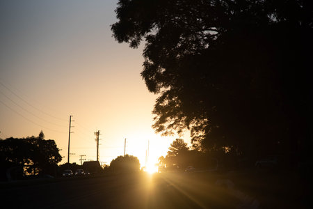 Sunset silhouette in rural landscape. Dramatic sky at dusk. Nature. Feelings of peace and calm.の写真素材