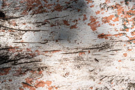 Abstract background of old demolition wood.