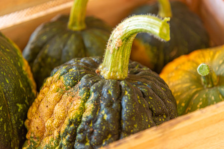 Cucurbita maxima x Cucurbita moschata fruits in wooden boxes for transport.