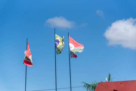 Flags on blue sky background.