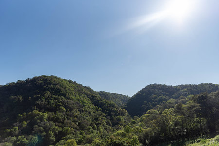 Atlantic forest reserve in itaara rs brazil