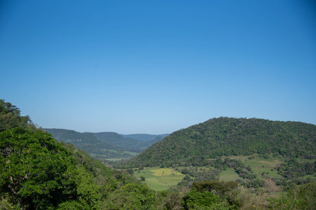 Atlantic forest reserve in itaara rs brazil