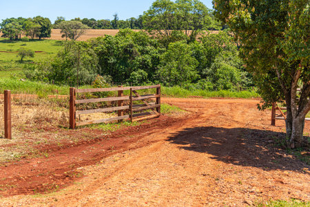 Dirt road in agricultural areas in southern Brazil.の写真素材