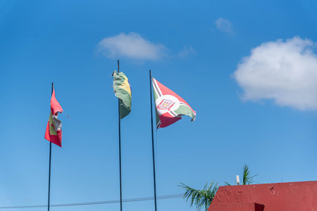 Flags of the City of Criciuma, the State of Santa Catarina and Brazil.