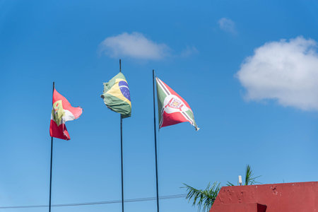 Flags of the City of Criciuma, the State of Santa Catarina and Brazil.
