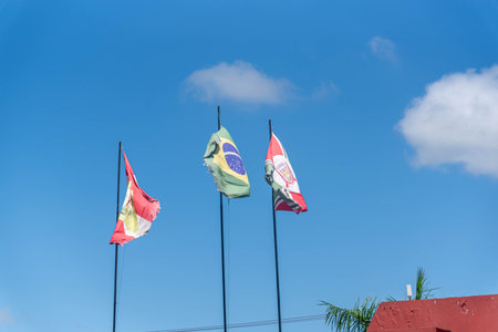 Flags of the City of Criciuma, the State of Santa Catarina and Brazil.