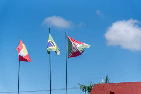 Flags of the City of Criciuma, the State of Santa Catarina and Brazil.