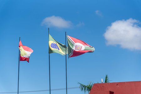 Flags of the City of Criciuma, the State of Santa Catarina and Brazil.