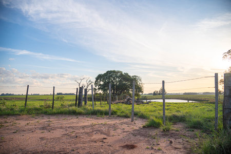 Rural landscape in southern Brazil