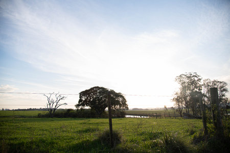 Rural landscape in southern Brazilの写真素材