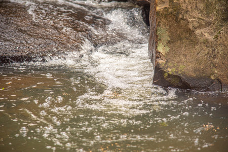 Stone stream in tropical forest in Brazil.の写真素材