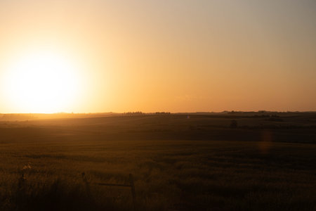 Sunset in the fields of Pampa
