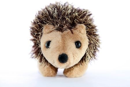 toy hedgehog on a white backgroundの写真素材