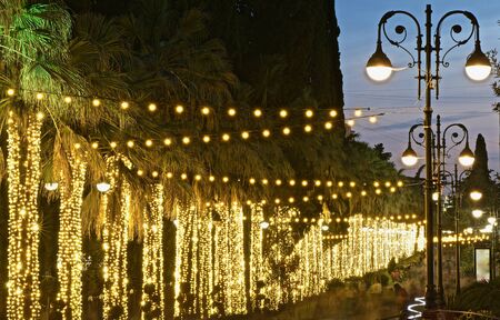 southern city boulevard in evening illuminations