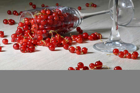 glass glasses on thin legs with sprinkled fresh red currants