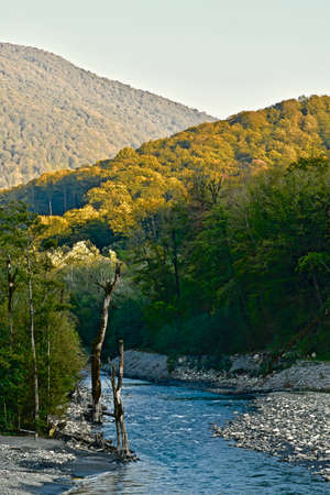 The bed of a rocky river among the mountain slopes covered with forest with dead woodの写真素材