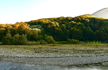 The bed of a rocky river among the mountain slopes covered with forest with dead wood