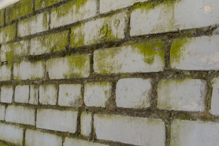 white brick wall with green moldの写真素材