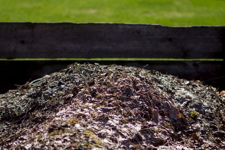compost of old leaves in a wooden box