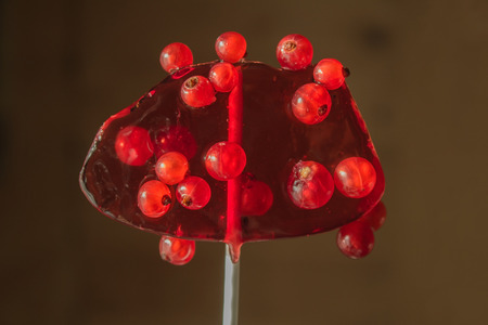 Sweet lollipop with red ripe currant berries. the concept of cohesion is sweet and sweetの写真素材